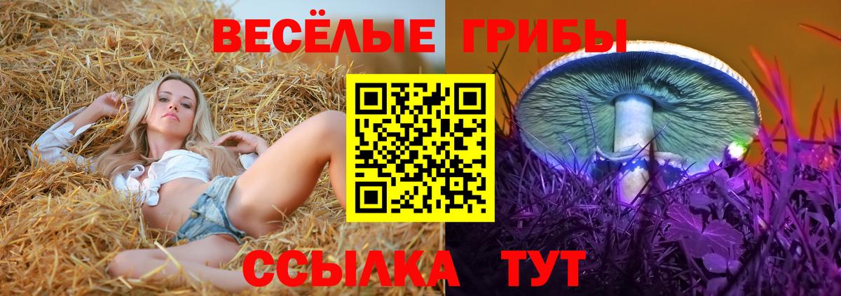 Галлюциногенные грибы GOLDEN TEACHER  Вход с VPN  Галлюциногенные грибы MAGIC MUSHROOMS  Клинцы 